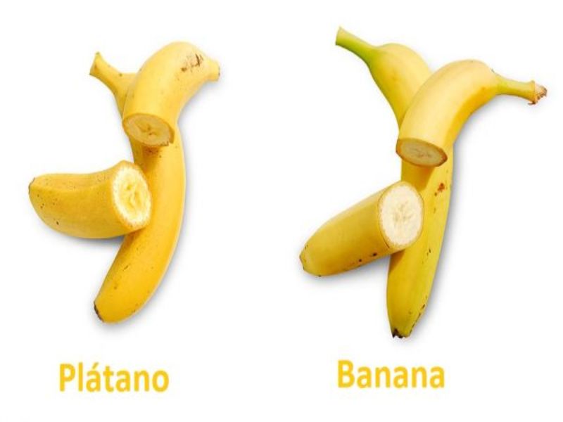 sera lo mismo una banana que un plátano 