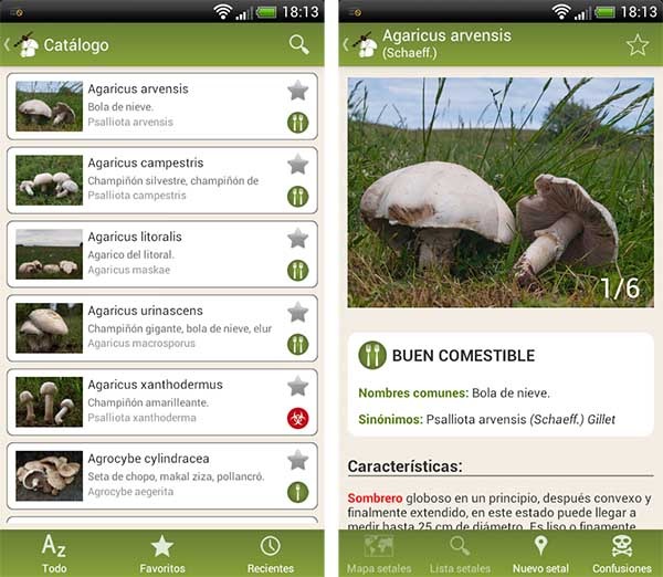 Fungipedia Lite 2.1.0 para saber sobre seta
