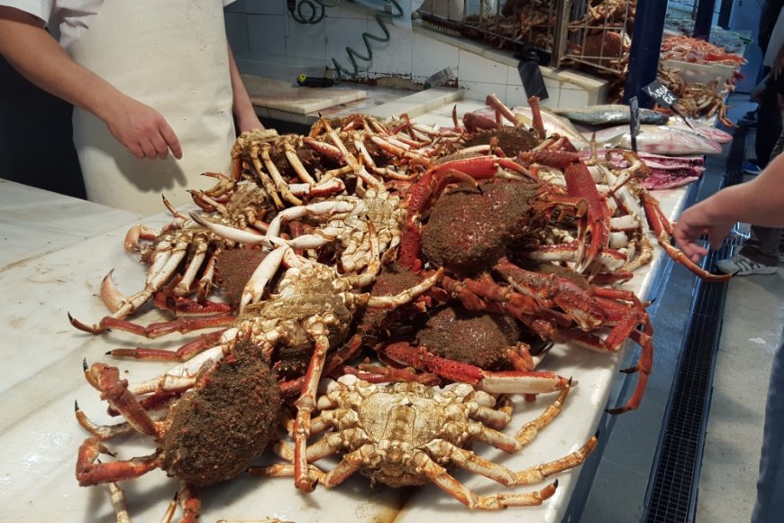 Hábitat  del txangurro 