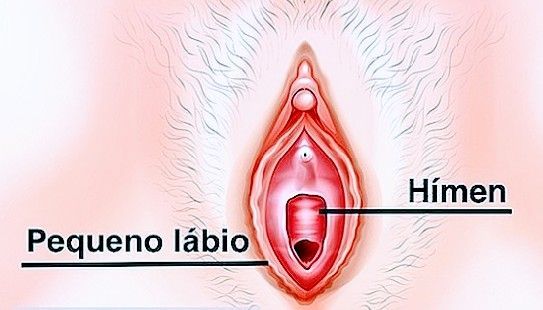 himen si soy virgen