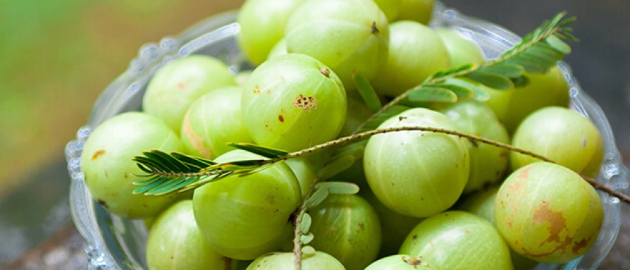 Amalakis (amla)