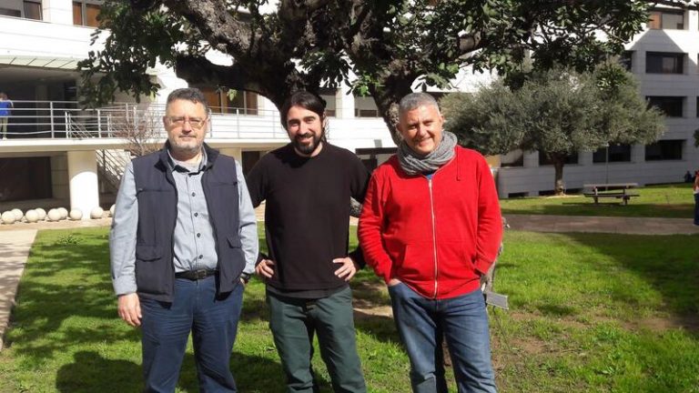 Descubren un fósil de murciélago de 16 millones de años en l'Alcora (Castellón)