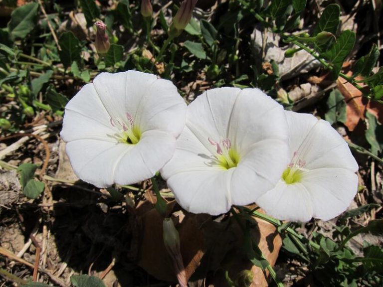 El Gobierno abre el proceso de información pública del Real Decreto