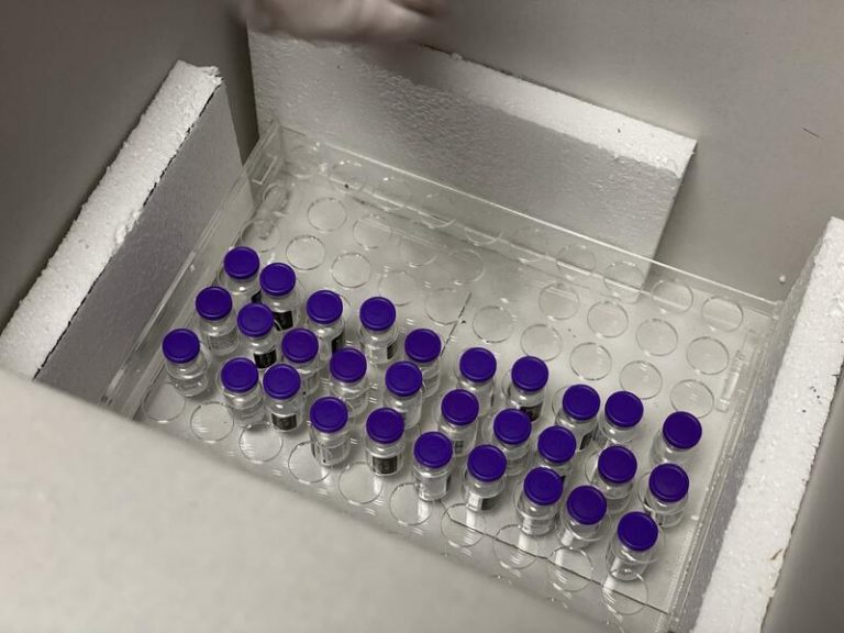 Llegan las más de 350.000 vacunas de Pfizer que debieron entregarse este lunes