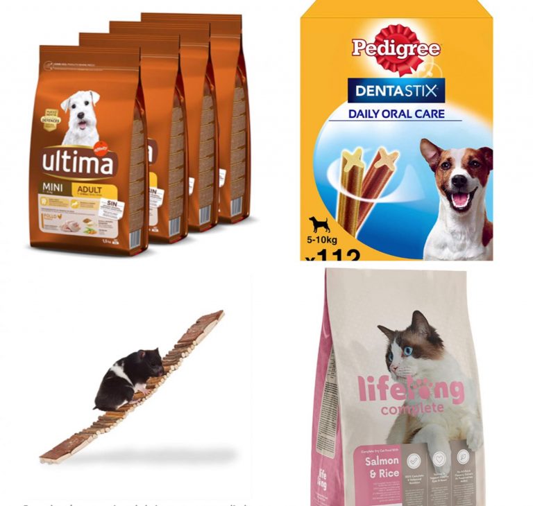Amazon: 10 descuentos geniales de hoy en alimentación y cuidado para tu mascota