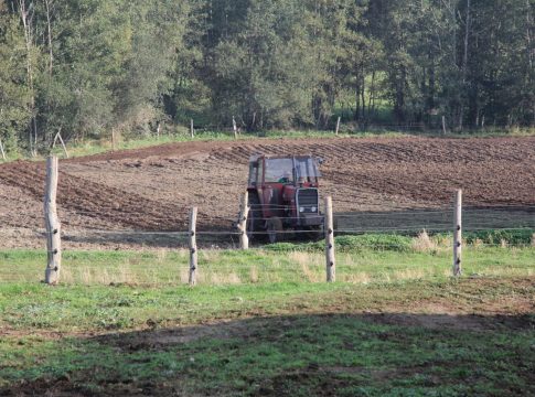 Aprobado el Reglamento Transitorio