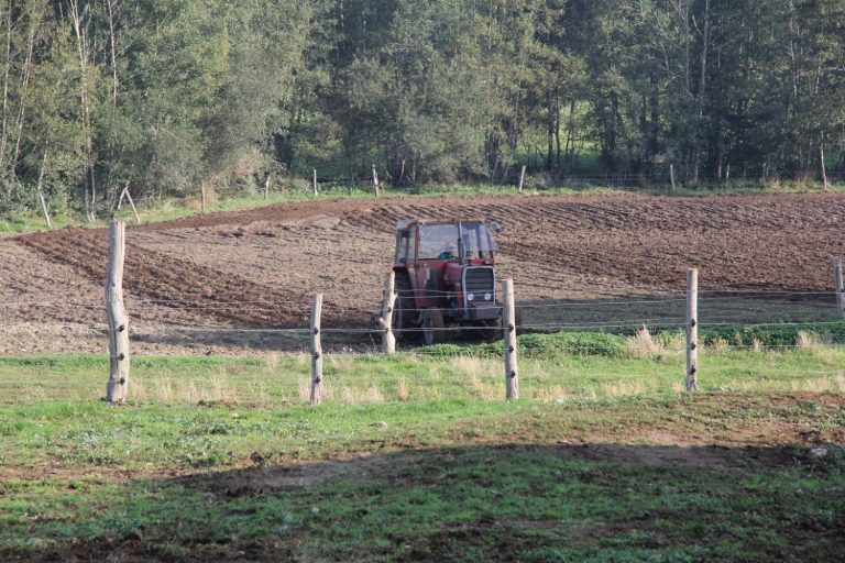 Aprobado el Reglamento Transitorio que garantiza el pago de ayudas de la PAC