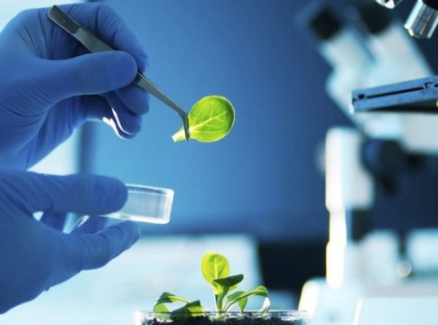 BIOTECNOLOGIA sociedad que es biotecnología