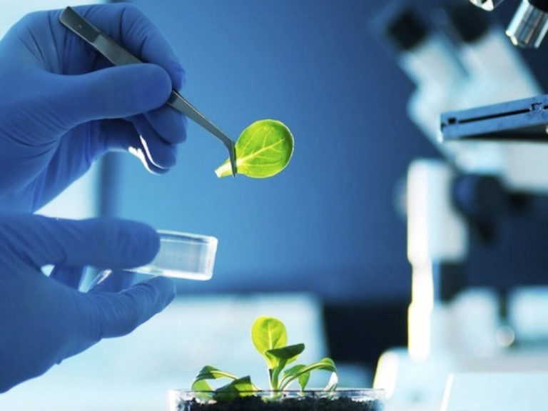 Qué es biotecnología