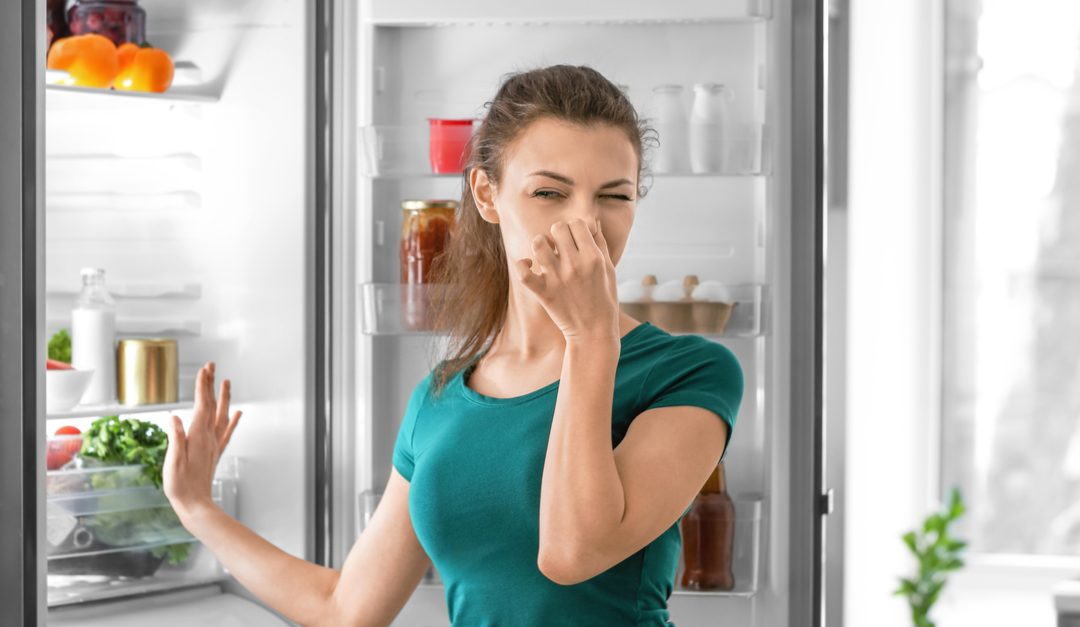 Cómo eliminar el mal olor del frigorífico
