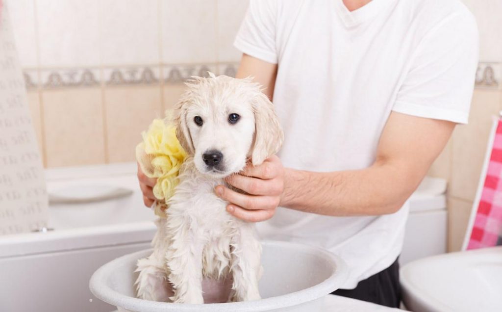 Desinfectante de vinagre de manzana y bicarbonato de sodio