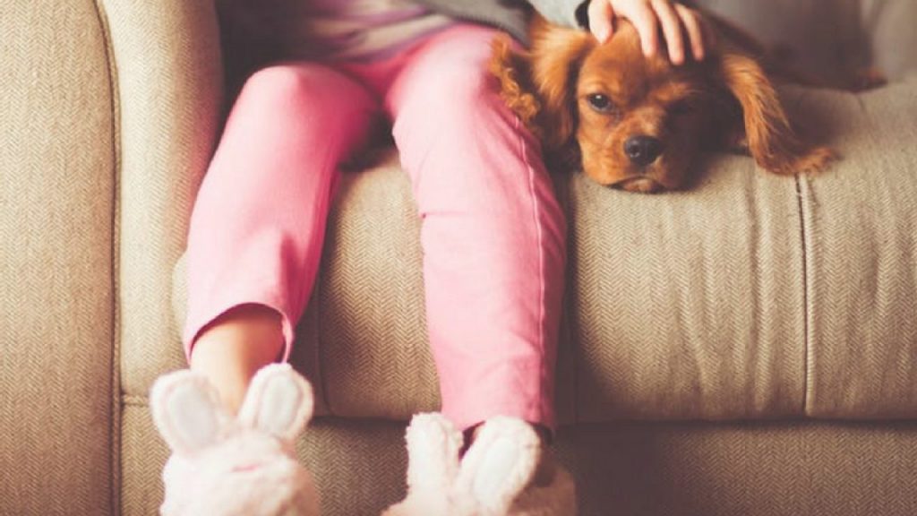 Educa a tu perro para que le guste el baño