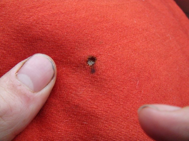 Cómo eliminar las polillas de la ropa