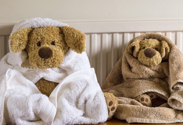 Cómo lavar a fondo un peluche