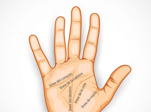 Cómo leer la mano 1 Cómo leer la mano