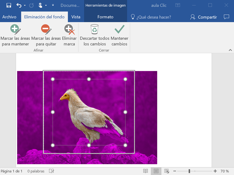 Cómo quitar el fondo de una imagen en Word 1 ¿Por qué quitarle el fondo a una imagen?