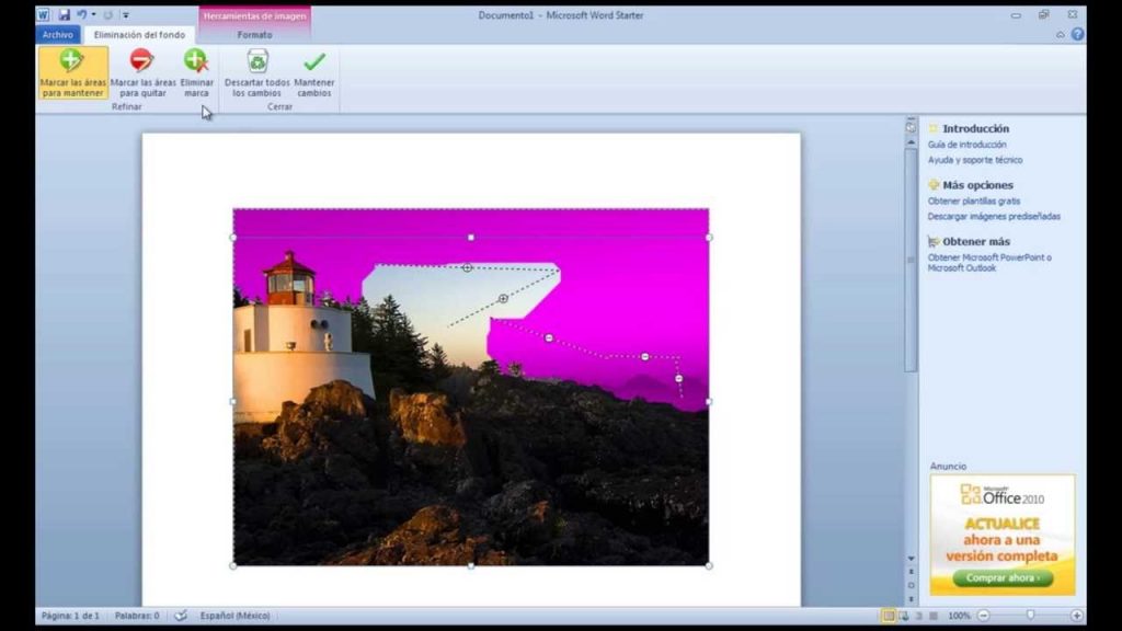 Cómo quitar el fondo de una imagen en Word 2 ¿Qué necesitas para poder quitarle el fondo de una imagen en Word?