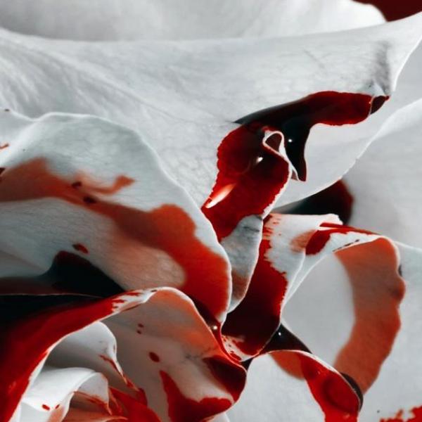 Advertencias a tomar en cuenta