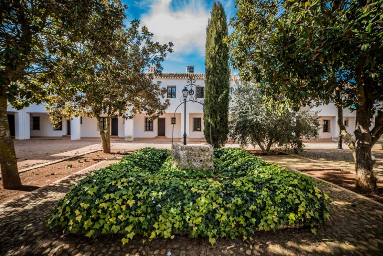 Familia Conesa–Pago Guijoso: El 'terroir' hecho vino