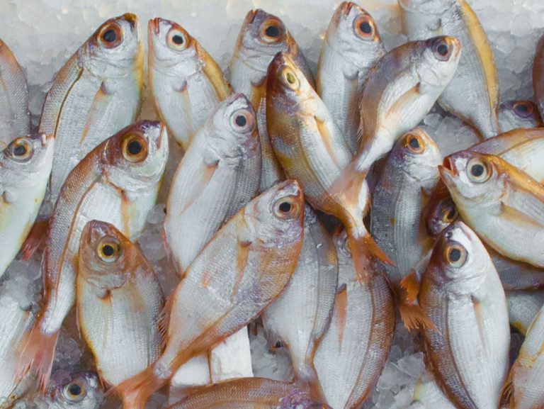 Estos son los pescados de súper con más mercurio