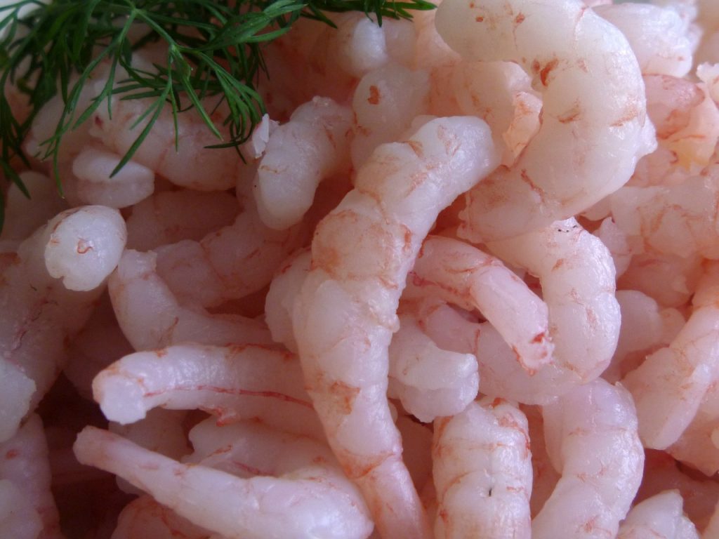 Gambas para los espaguetis