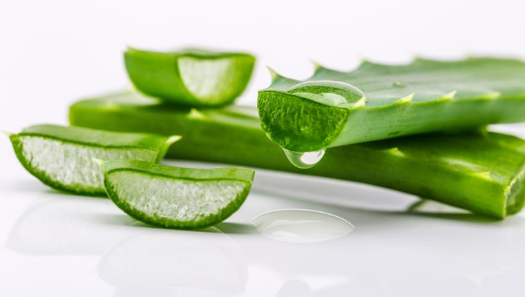 Preparación del gel de aloe vera