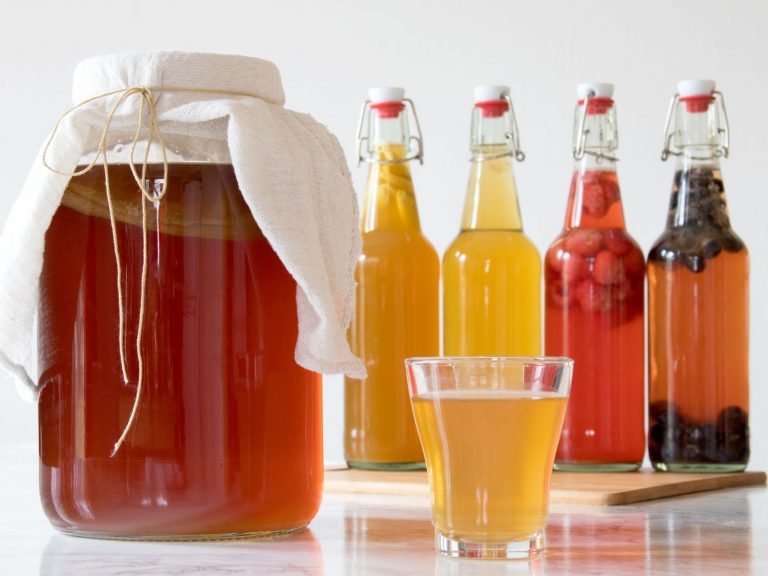 ¿En qué sabores hay Kombucha?