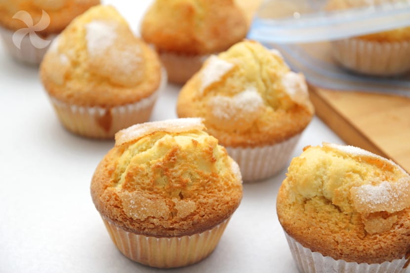 Magdalena en microondas