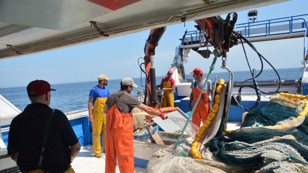 Pescado: estos son los que debes congelar antes de comerlos 9 Los pescadores, sin querer, pueden aumentar el riesgo por contagio de anisakis.