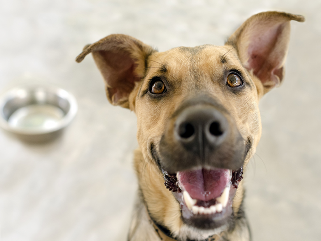 Causas más frecuentes