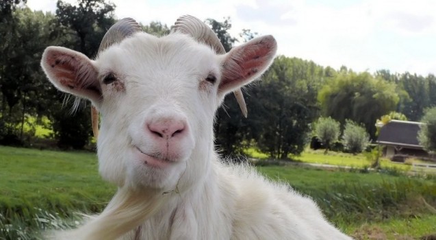 Preguntas imposibles de responder