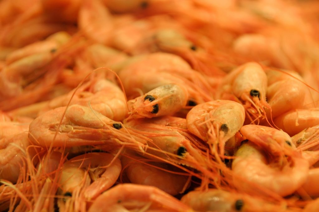 Aceite de gambas y langostinos