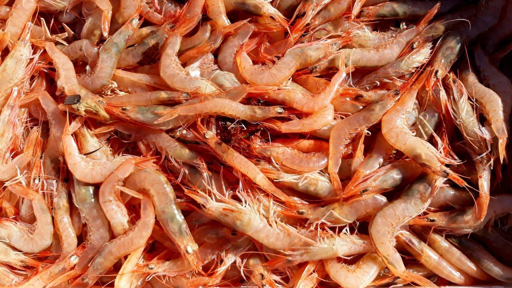 Fumet de langostinos y gambas