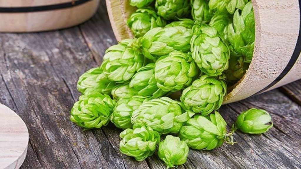 Lúpulo de amargor, lúpulo aromático y los mixtos