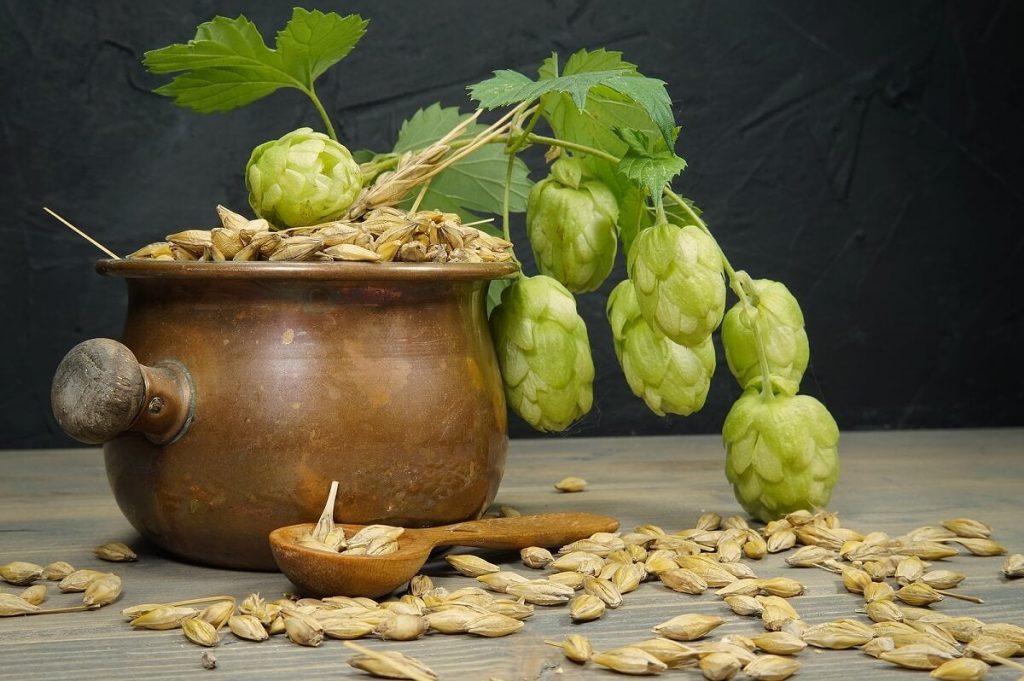 Usos medicinales y su efectividad