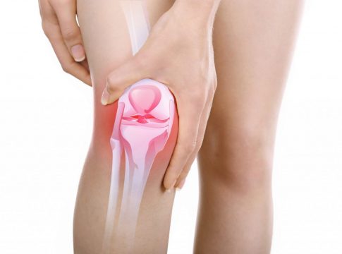 Qué es el menisco 1 Qué es el menisco