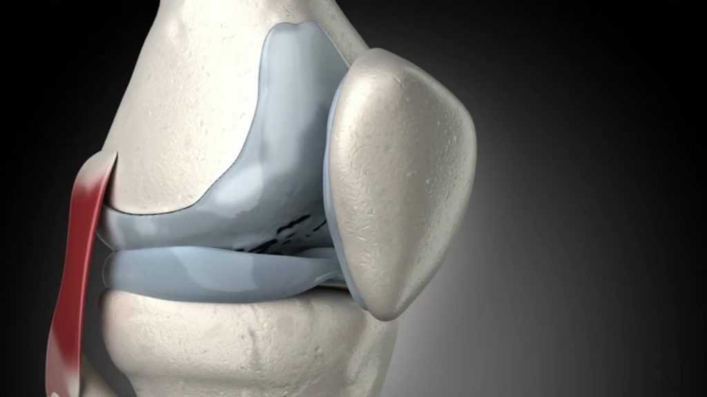 Qué es el menisco 2 Biomecánica meniscal