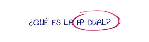 Qué es la Fp dual 1 Formación Profesional Dual (FPD)