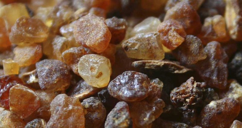 Beneficios del aceite