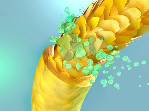 Qué es la queratina Qué es la queratina