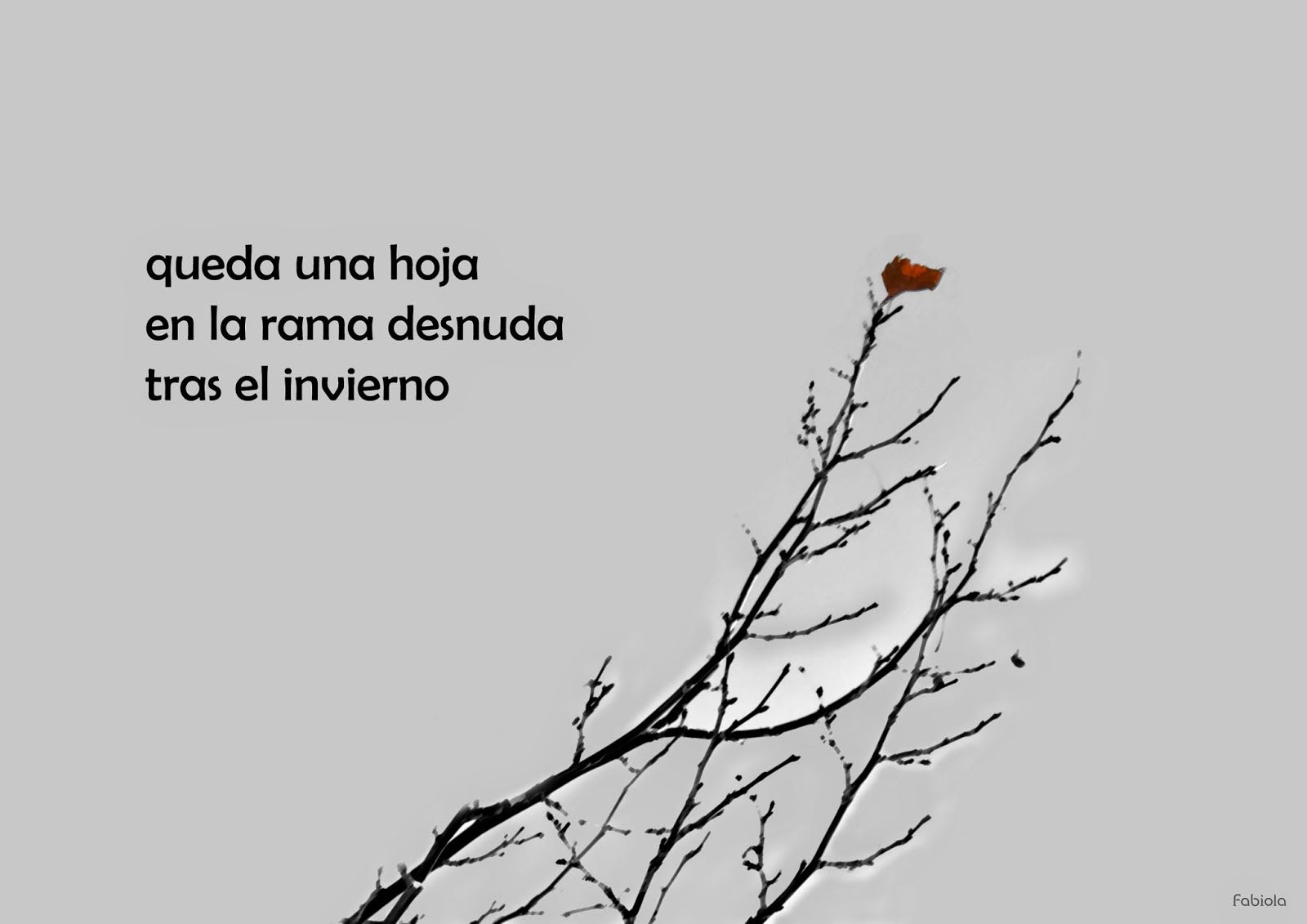 Qué es un haiku 1 Ejemplo de haiku