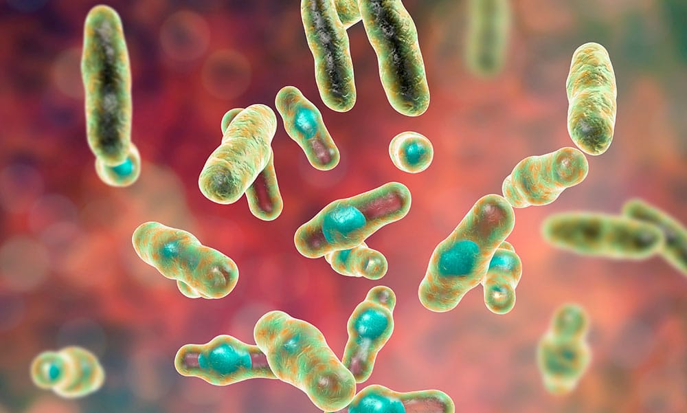 ¿Qué es una infección?