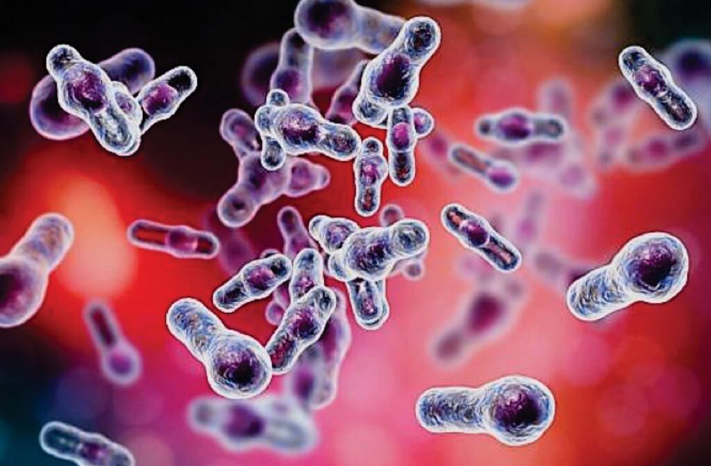 Tipos de infecciones