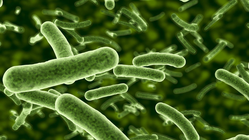 Infecciones bacterianas