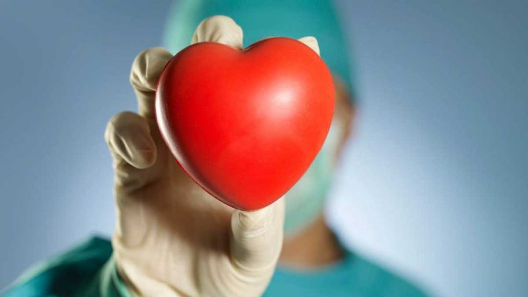 España ratifica el Convenio contra el Tráfico de Órganos del Consejo de Europa