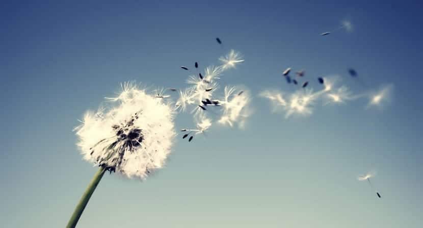 ¿Cómo se forma el viento?