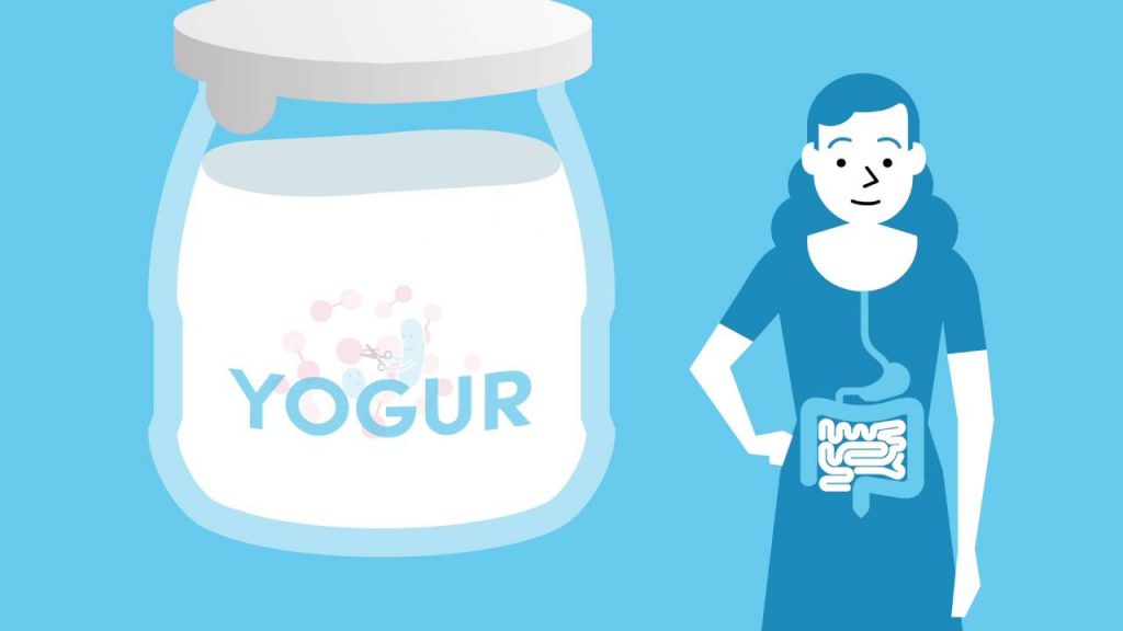 Yogur de súper: estos son los que recomiendan los nutricionistas por ser una bomba de proteínas 23 Propiedades nutricionales de los yogures de súper