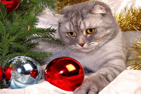 adornos navideños bolas perro gato