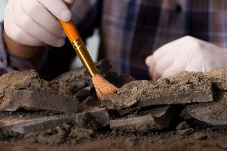 Qué es la arqueología