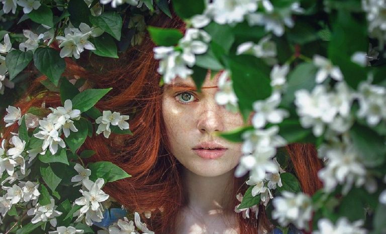 Conoce la variedad de productos que Arkopharma tiene para ti